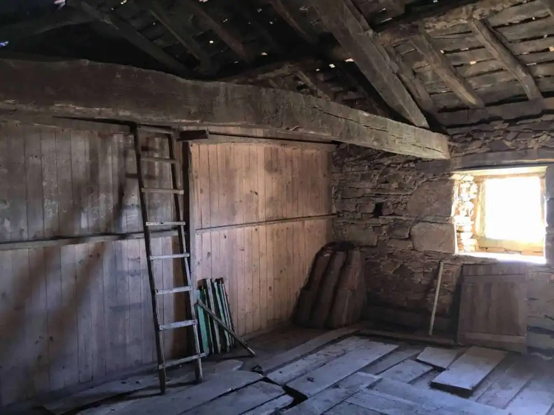 Casa o xalet en venda en Tineo amb Jardí privat i Traster