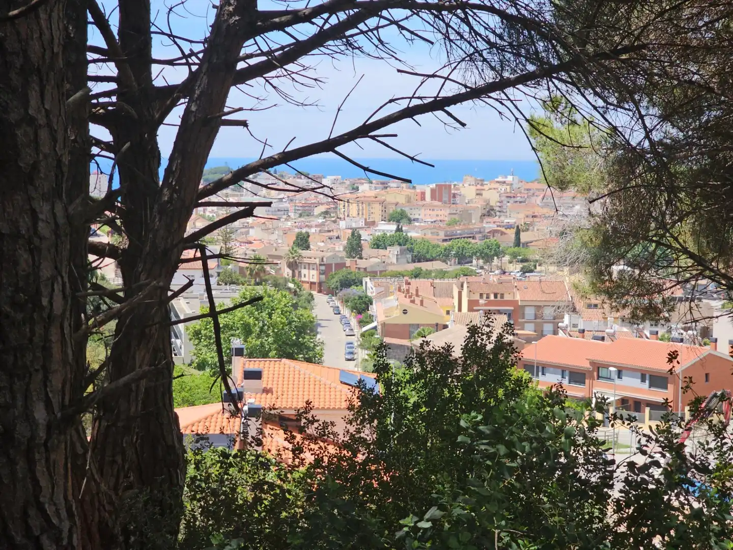 Vista exterior de Finca rústica en venta en Canet de Mar con Jardín privado