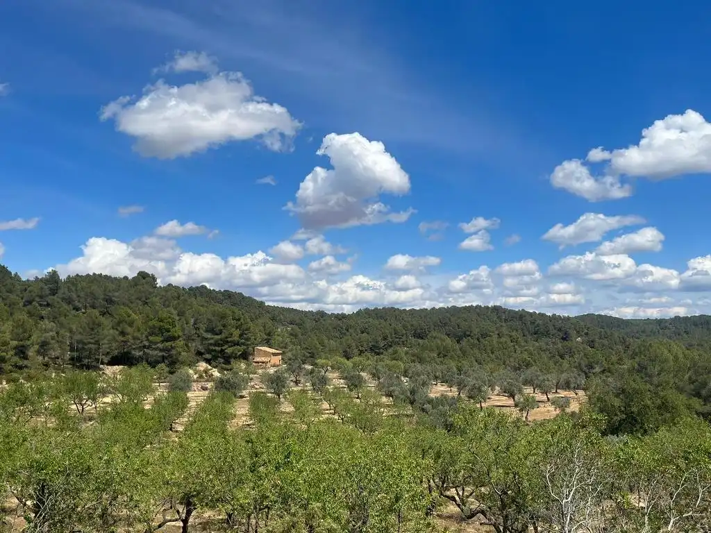 Terreno en venta en Horta de Sant Joan