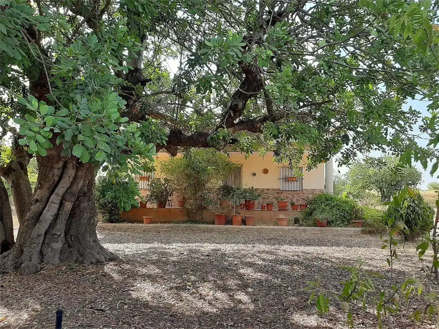Jardín de Casa o chalet en venta en Cheste con Aire acondicionado