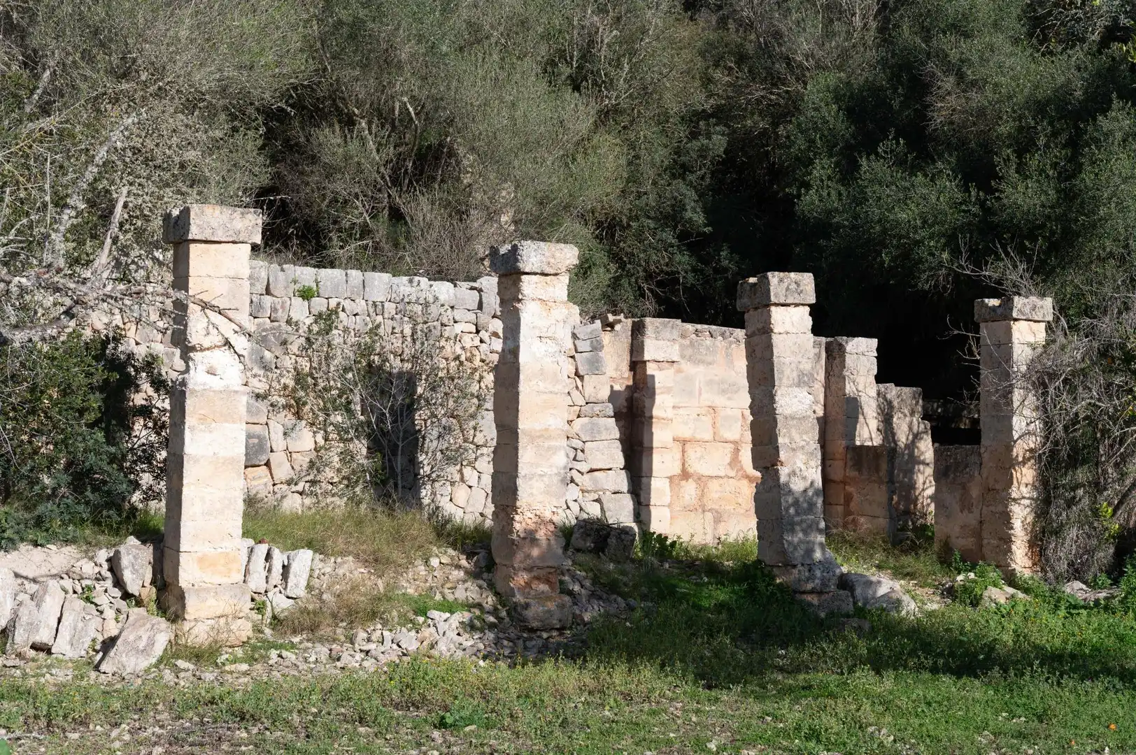 Casa rustica con giardino in vendita a Sineu, imagen 11