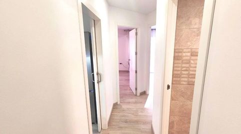 Foto 3 de Pis de lloguer a Carolinas Altas, Alicante / Alacant