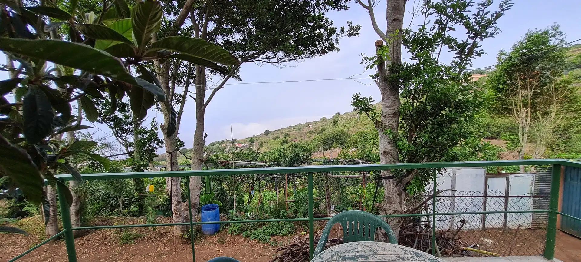 Finca rústica en venda a Icod de los Vinos pueblo