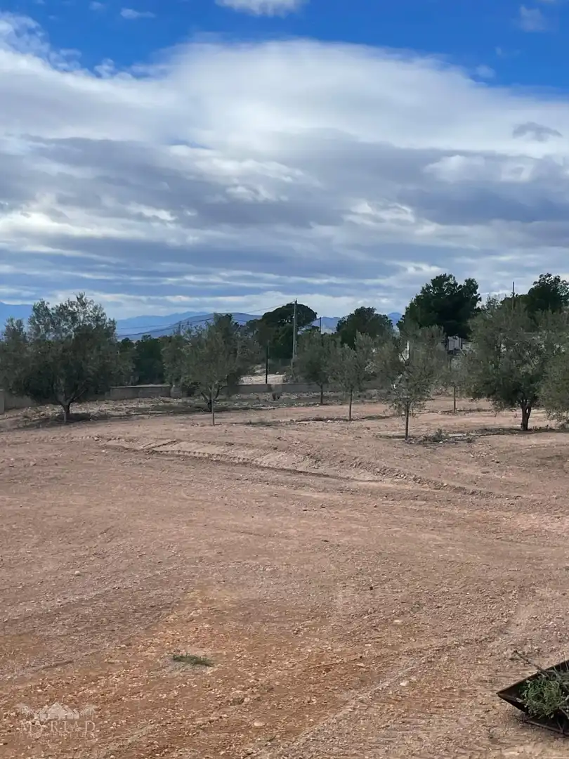 Casa o xalet en venda en Jumilla amb Terrassa