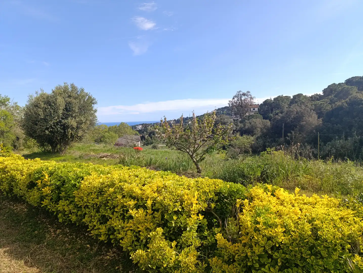 Casa o chalet de alquiler en Carrer Cal Gras, Cabrils