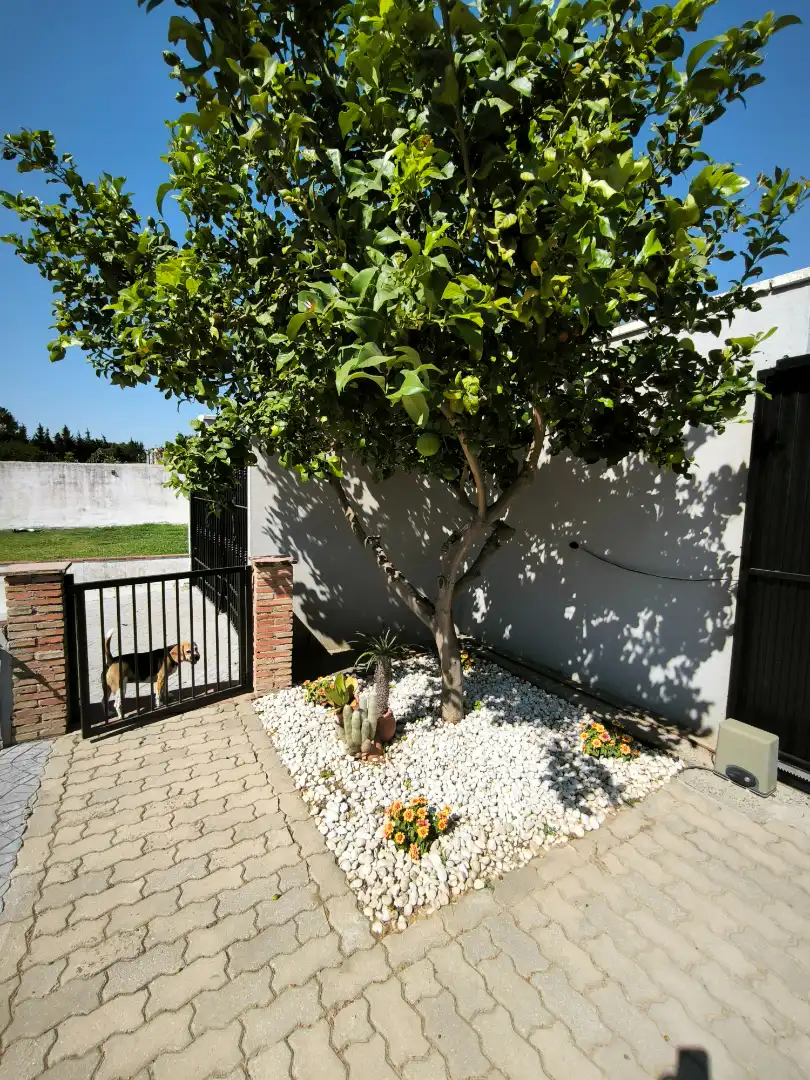 Garten von Haus oder Chalet zum Verkauf in San Roque mit Klimaanlage, Terrasse und Schwimmbad