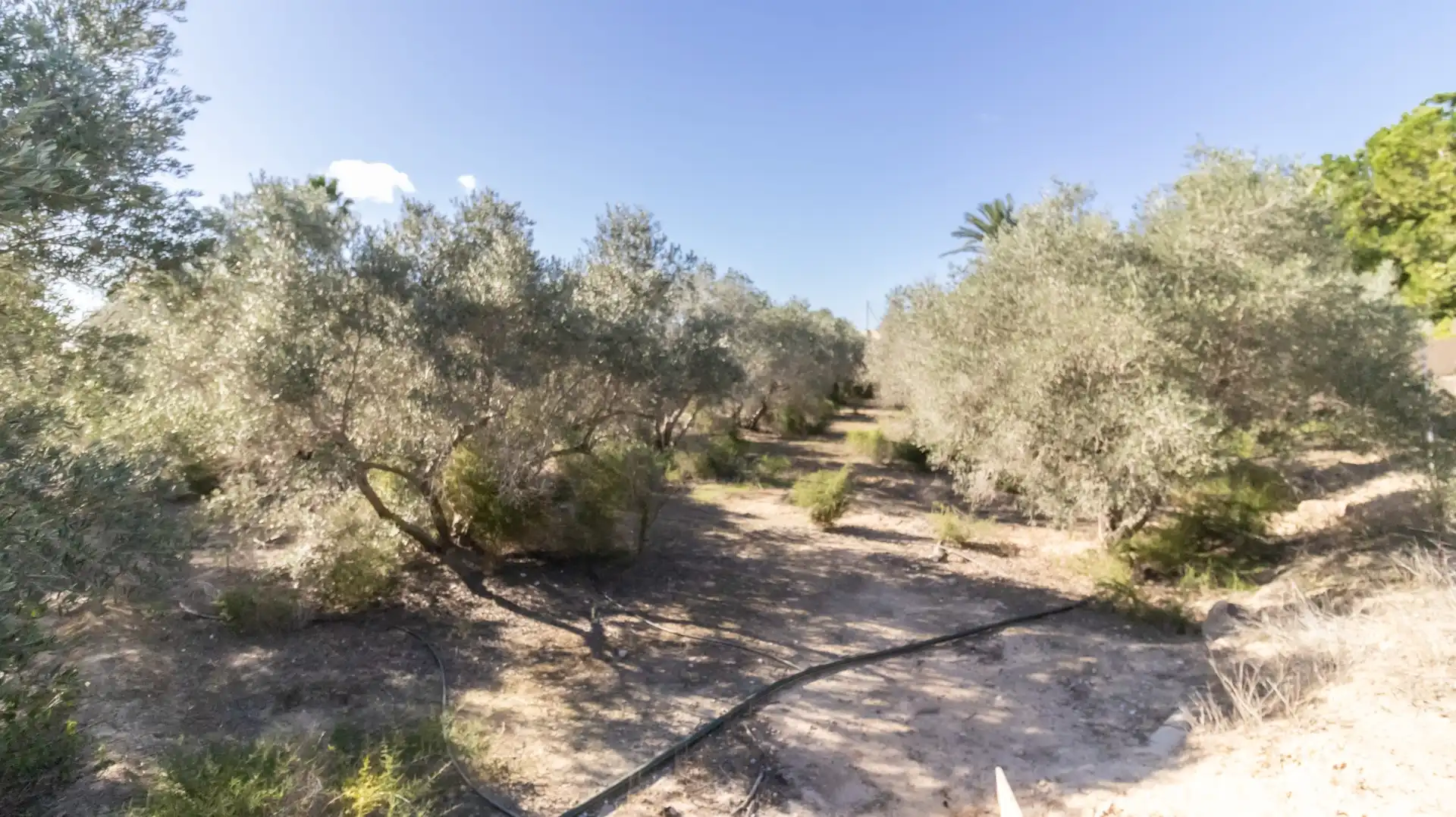 Casa o chalet en venta en Elche / Elx con Trastero y Piscina