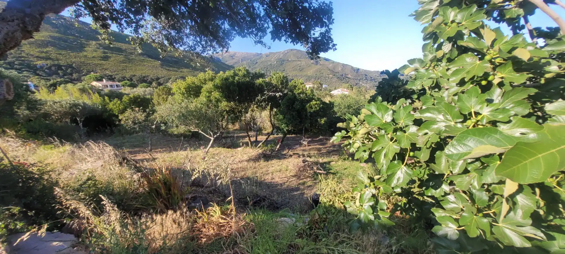 Haus oder Chalet zum Verkauf in Tarifa mit Privatgarten, Möbliert und Ofen