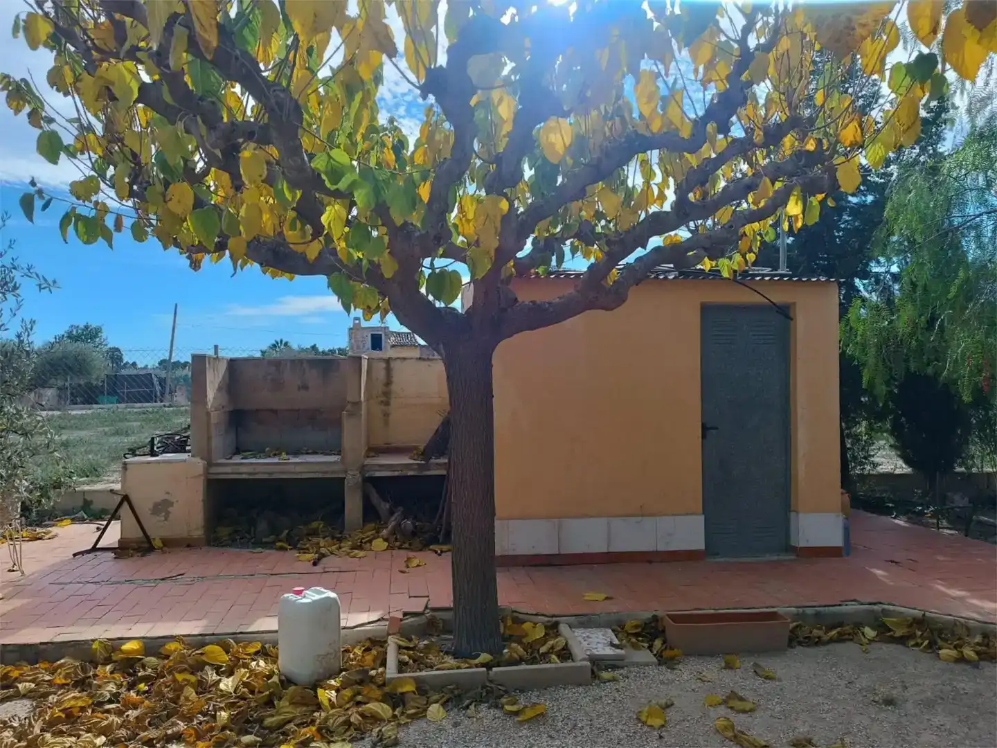Vista exterior de Casa o xalet en venda en Novelda amb Jardí privat, Traster i Moblat