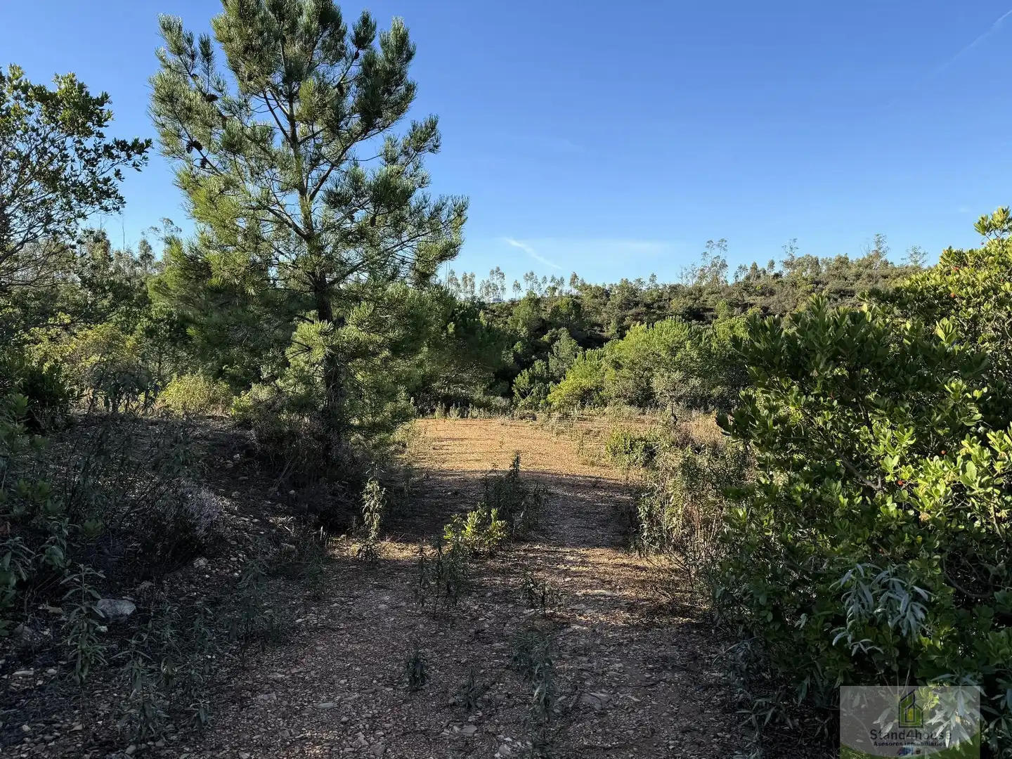 Finca rústica en venta en Berrocal