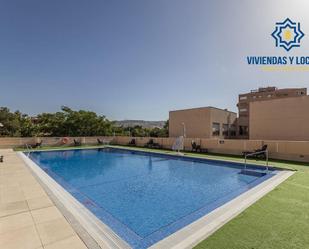 Swimming pool of Duplex for sale in  Granada Capital