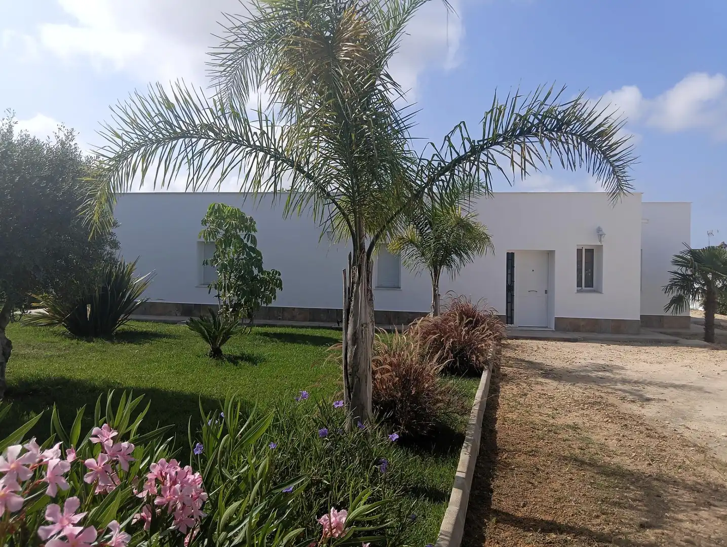 Vista exterior de Casa o xalet en venda en Conil de la Frontera