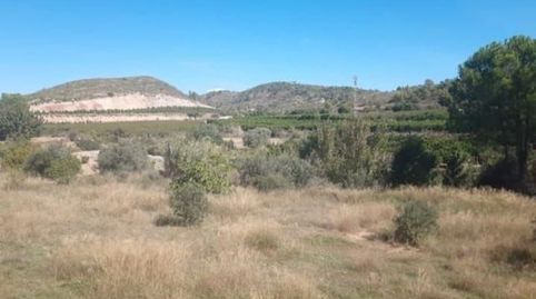 CASA APEROS REFORMAR VENTA BUGARRA, SUP 24 M, PARCELA RUSTICA 14.224 M. PRECIO:  34.000€, imagen 4