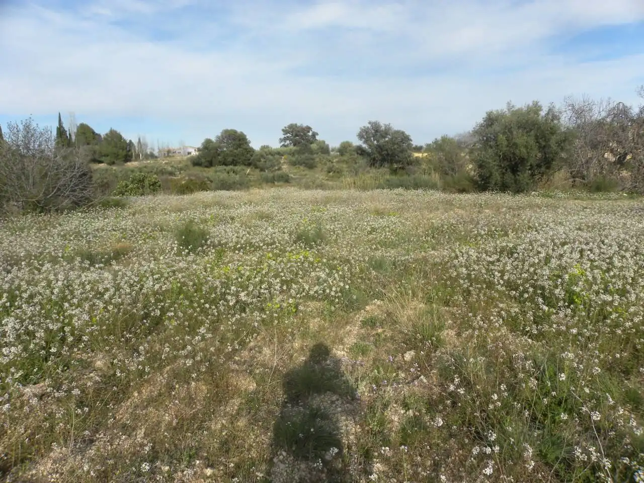 Residencial en venda en Caravaca de la Cruz