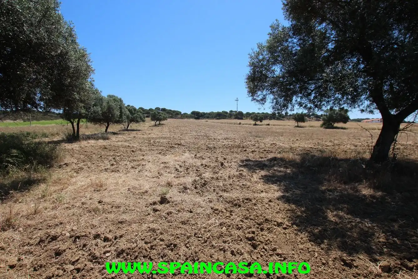 Terrenos y solares en venta en Núcleo urbano, imagen 8