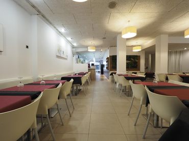 Local comercial en alquiler en Calle de Barcelona 5