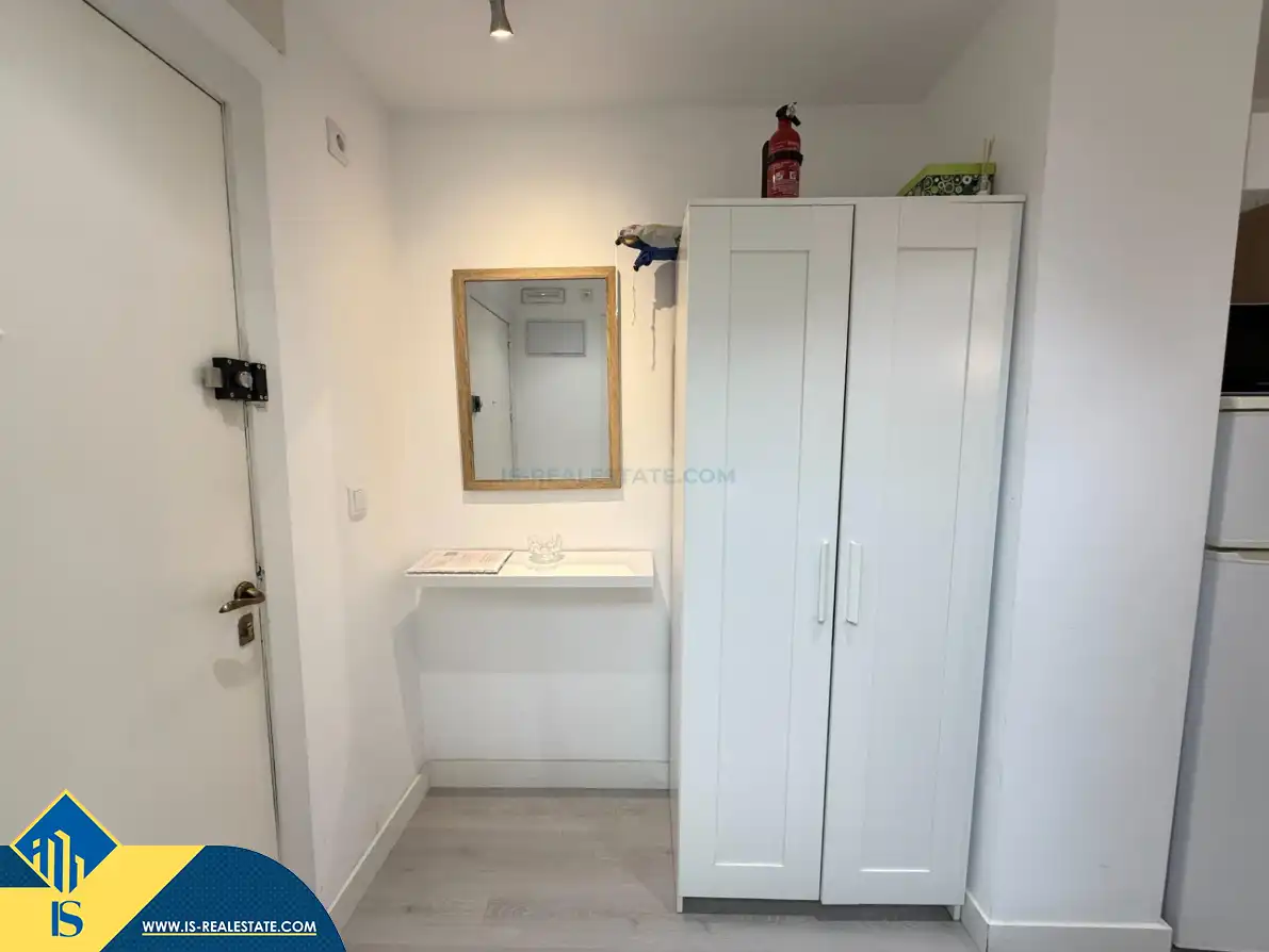 Estudio con piscina en venta en Centro, imagen 19