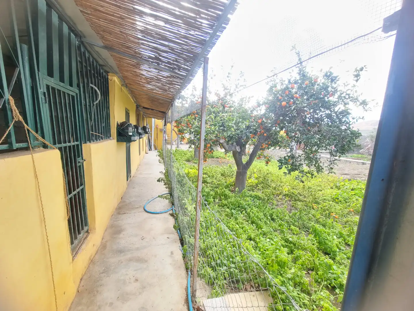 Vista exterior de Finca rústica en venta en Pechina con Aire acondicionado, Calefacción y Jardín privado