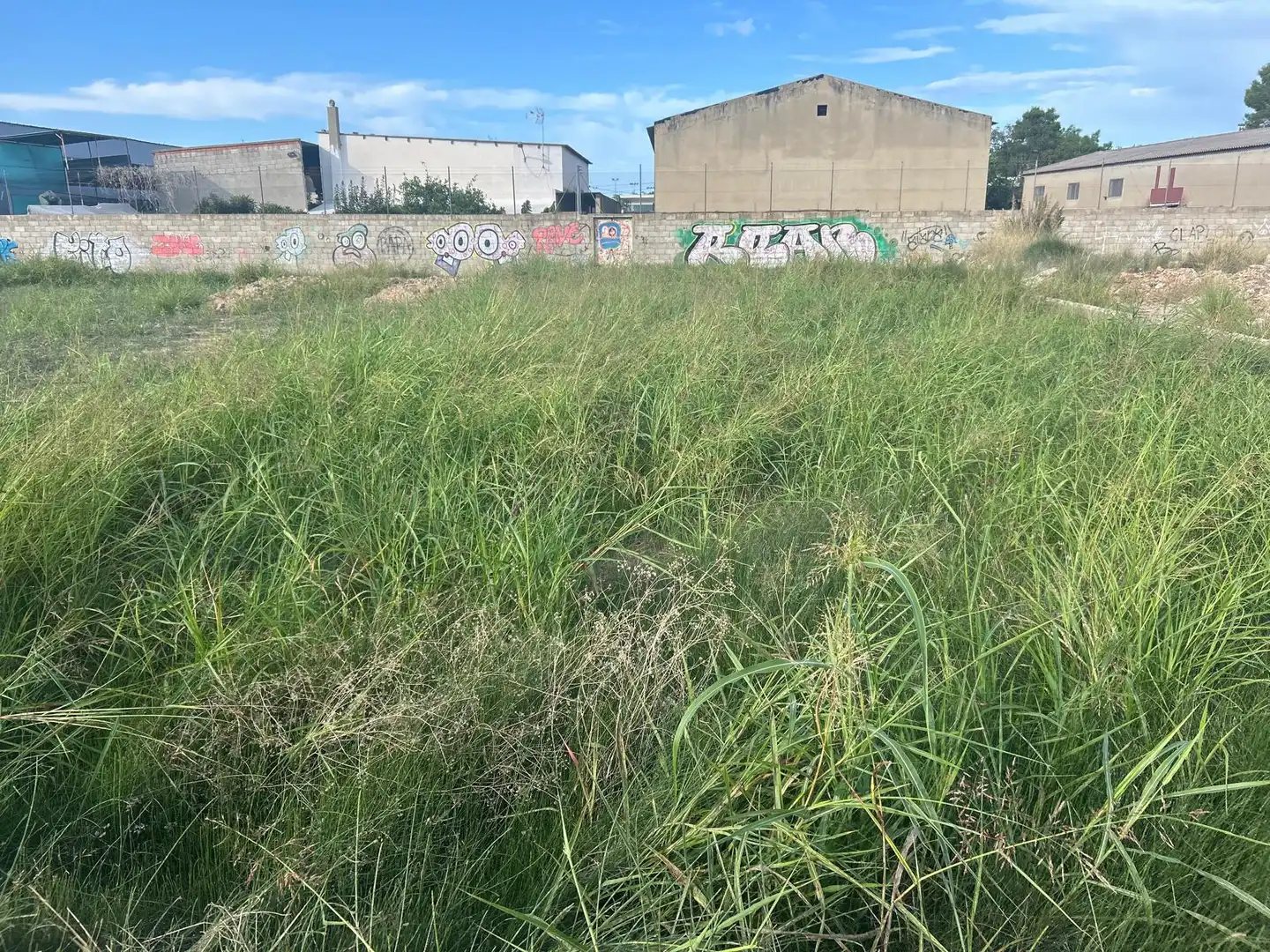 Terrain rustique à vendre à Avinguda Matemàtic Marzal, imagen 4