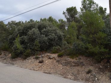 Terreno residenziale in vendita a Calle NUEVA SIERRA GN