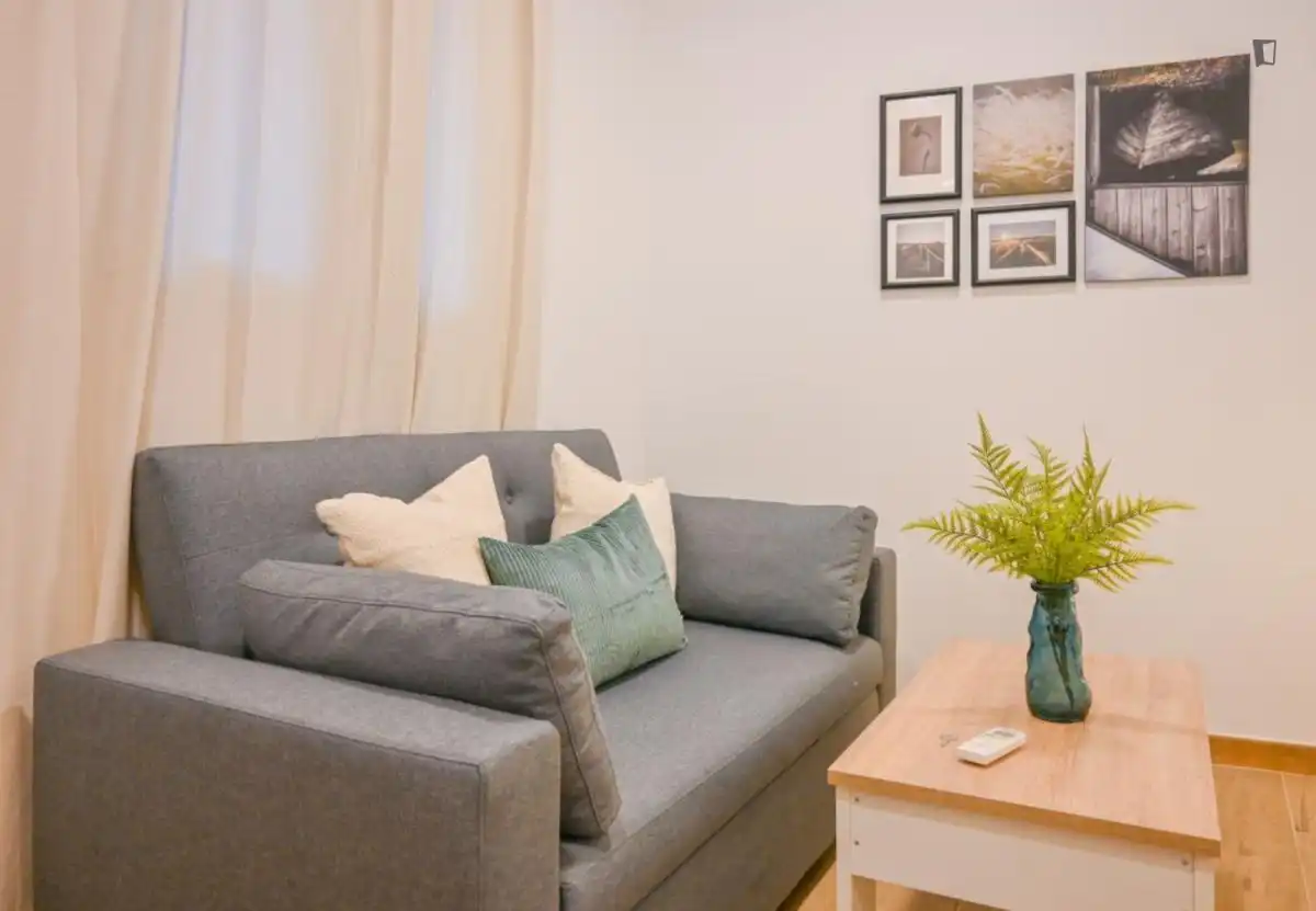 Sala d'estar de Apartament de lloguer en Madrid amb Aire condicionat, Moblat i Rentadora
