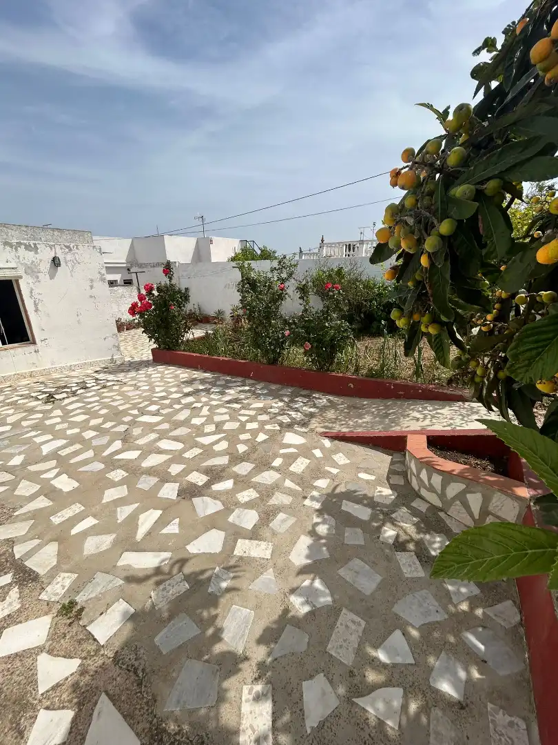 Terraza de Casa o chalet en venta en Puerto Real con Amueblado