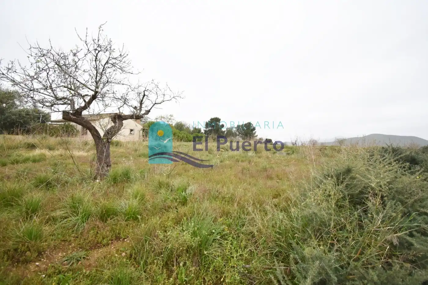Rural land for sale in Pedanías Oeste, imagen 6