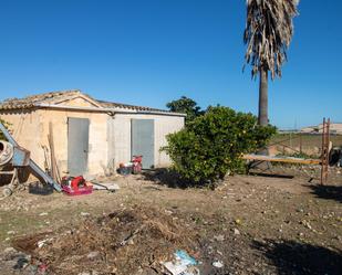 Exterior view of Land for sale in Petra