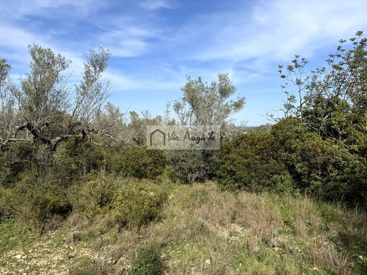 Terreno rustico in vendita a oliveres, imagen 12