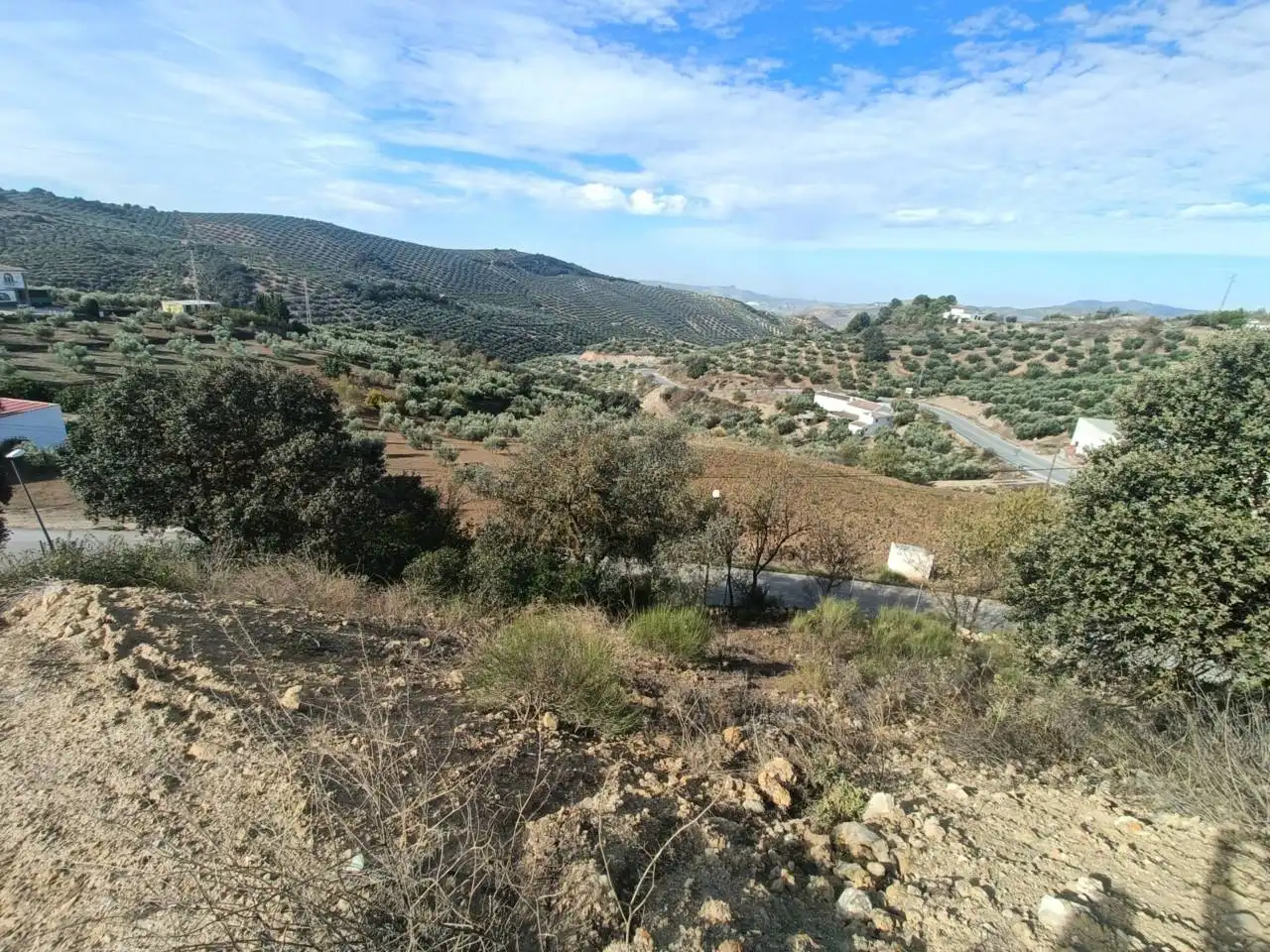Casa o xalet en venda en Loja amb Jardí privat i Moblat