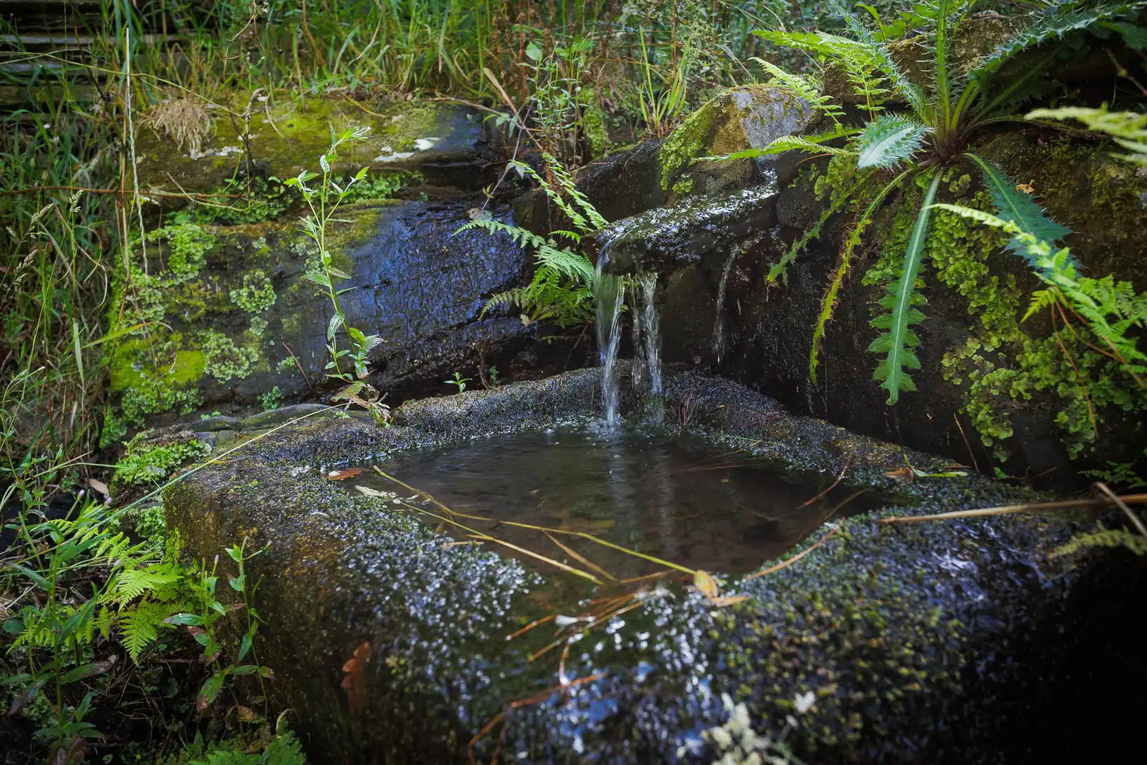 Piscina de Finca rústica en venta en Begonte