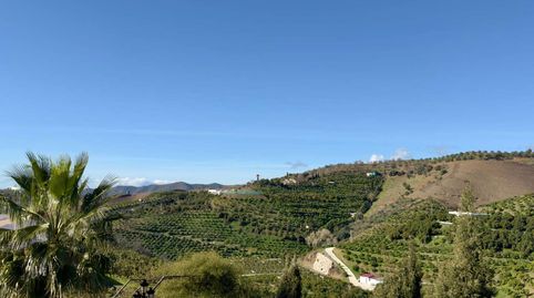 Foto 2 de Finca rústica en venda a N/a, -1, Capuchinos - Los Olivos, Vélez-Málaga