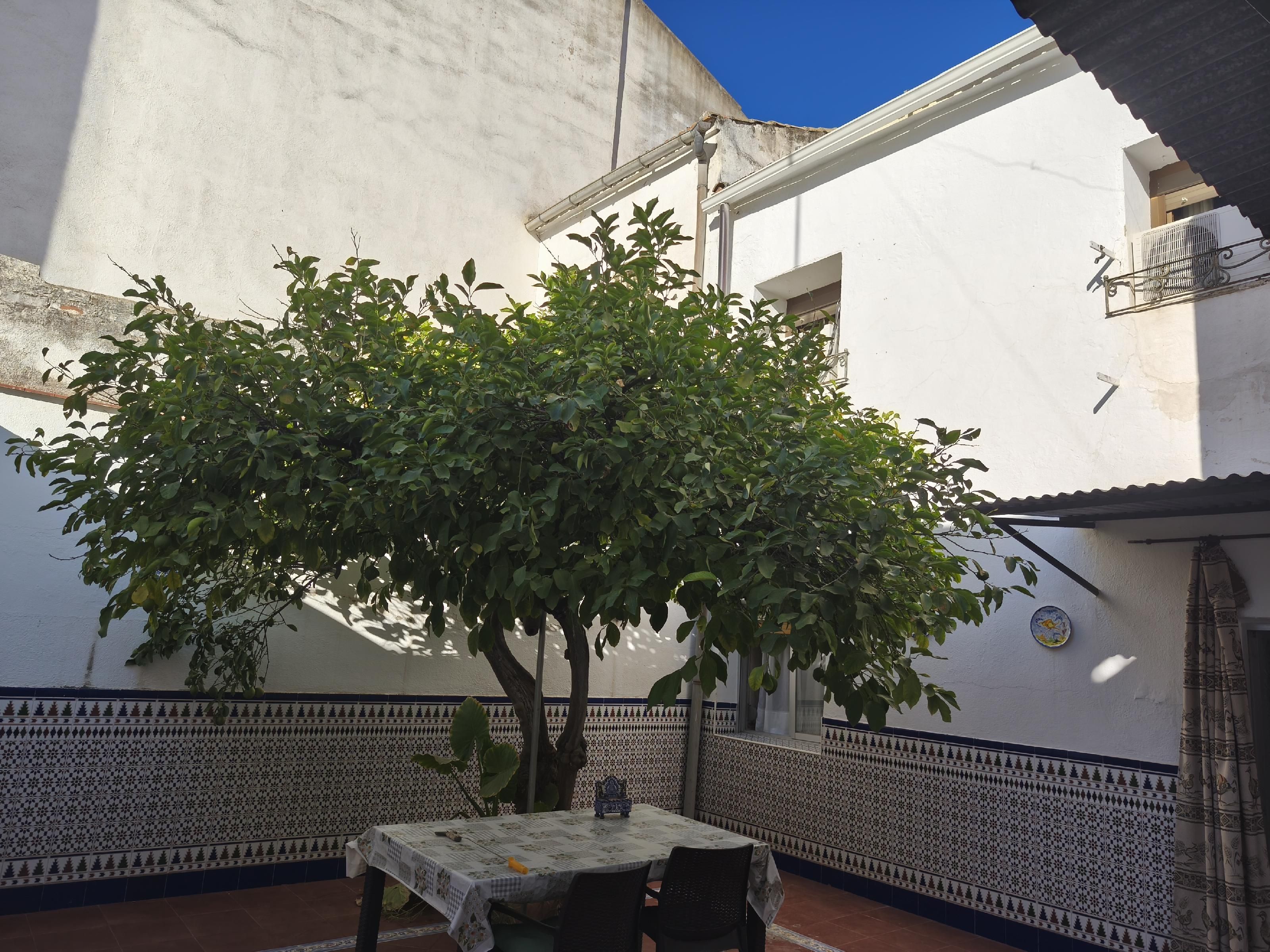 Garden of Single-family semi-detached for sale in Andújar  with Air Conditioner, Heating and Terrace