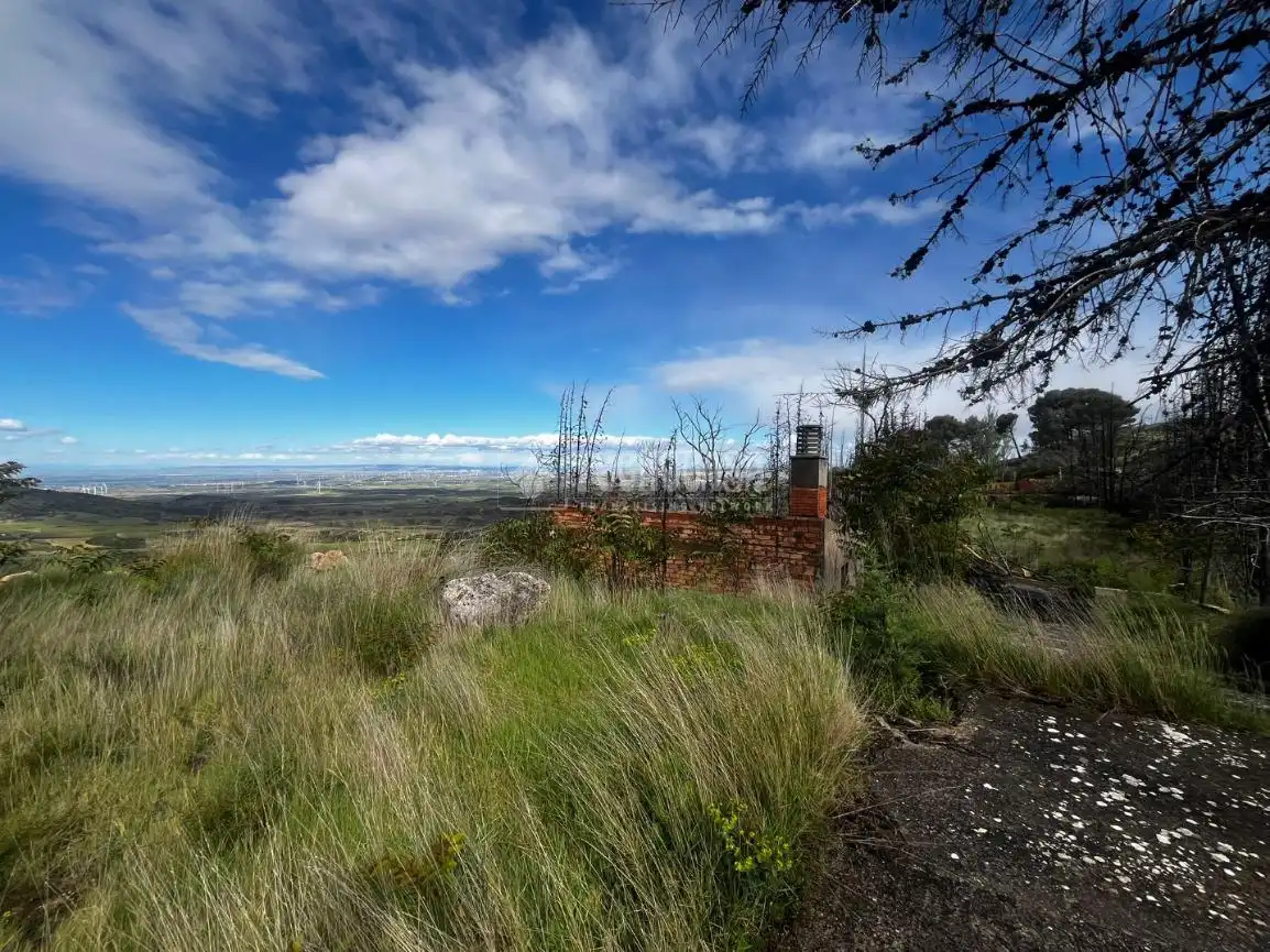 Land for sale in Borja