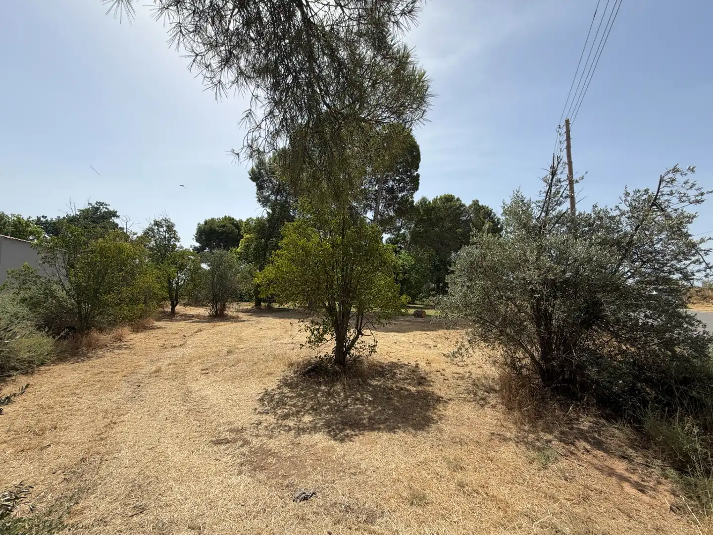 Residencial en venda a Camí de Lleida, 14, Els Alamús