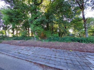 Terreno residencial en venta en Nogueira de Ramuín
