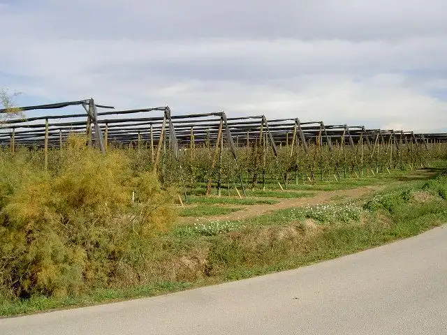 Rural land for sale in Sant Pere Pescador, imagen 60