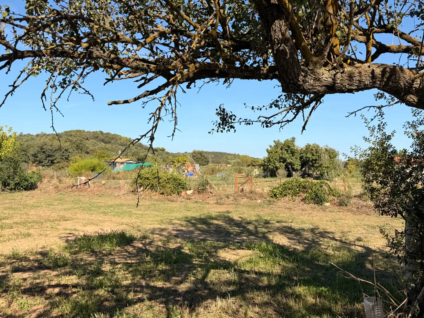 Terreno residenziale in vendita a Carrer Nou