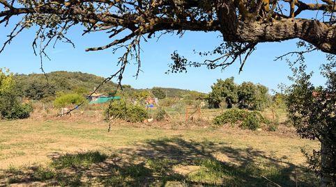 BAIX EMPORDÀ, FORALLAC, VULPELLAC, SOLAR