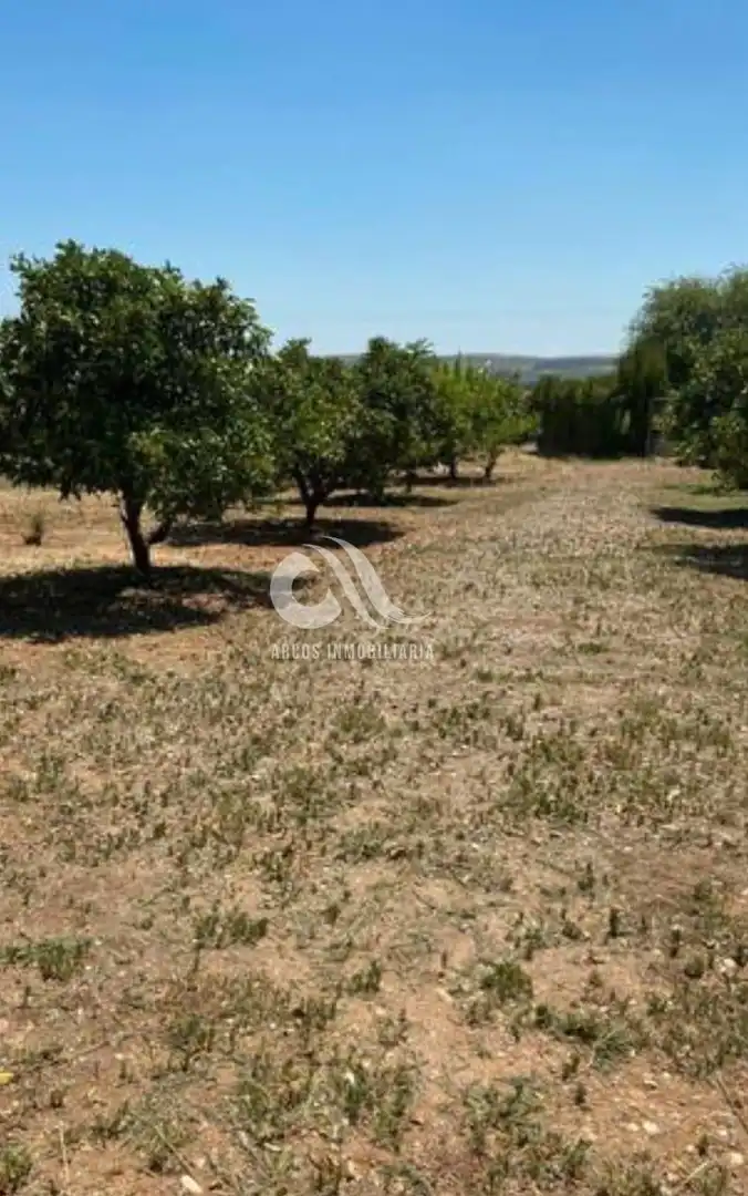 Country homes for sale in Alcolea
