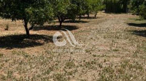 Foto 4 de Finca rústica en venda a Alcolea,  Córdoba Capital