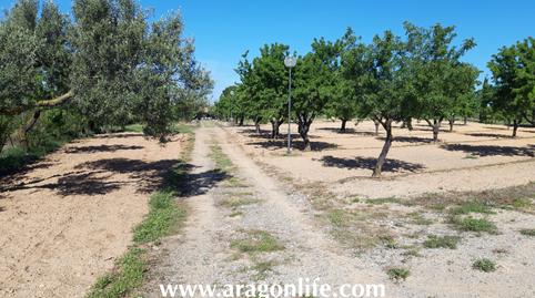 Photo 4 of Country house for sale in Disseminat, 7, Vilalba dels Arcs, Tarragona