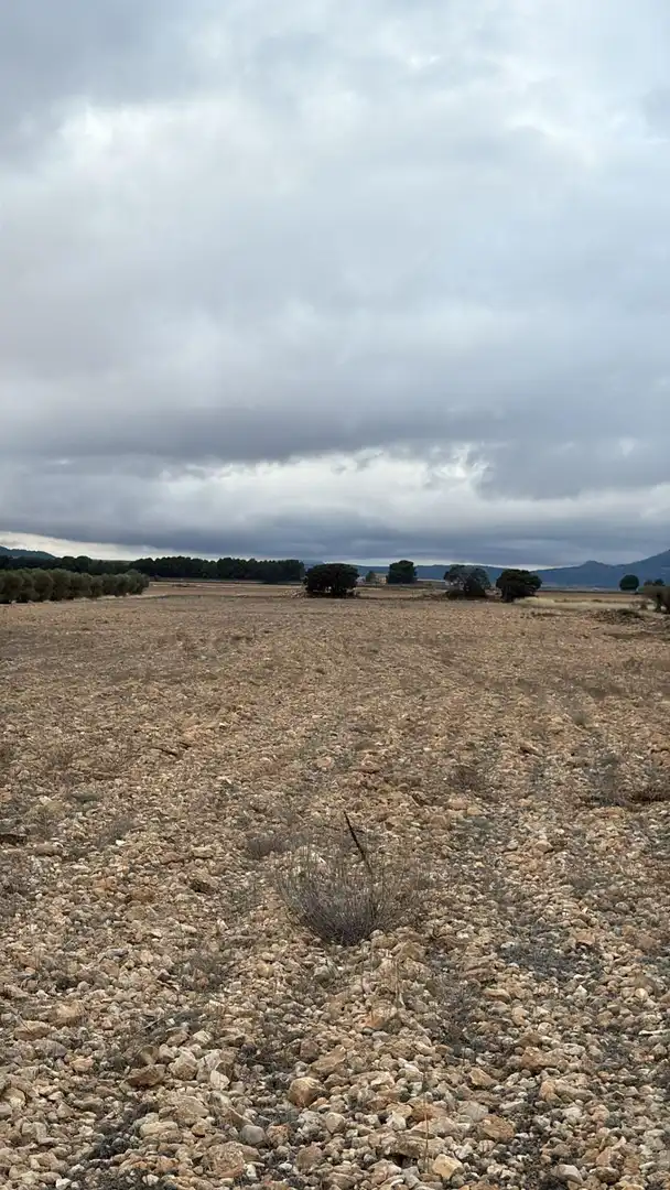 Terrenys i solars en venda a Yecla, imagen 6