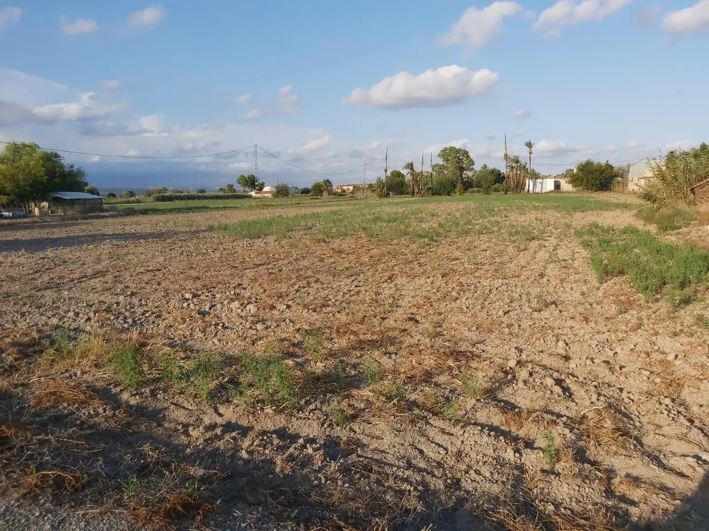Terreno rustico in vendita a Carretera Carretera de San Felipe, imagen 6