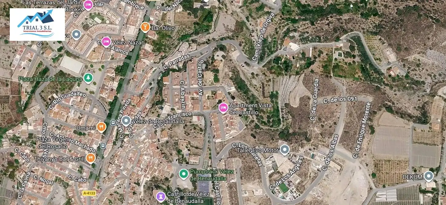 Casa o chalet en venta en Vélez de Benaudalla