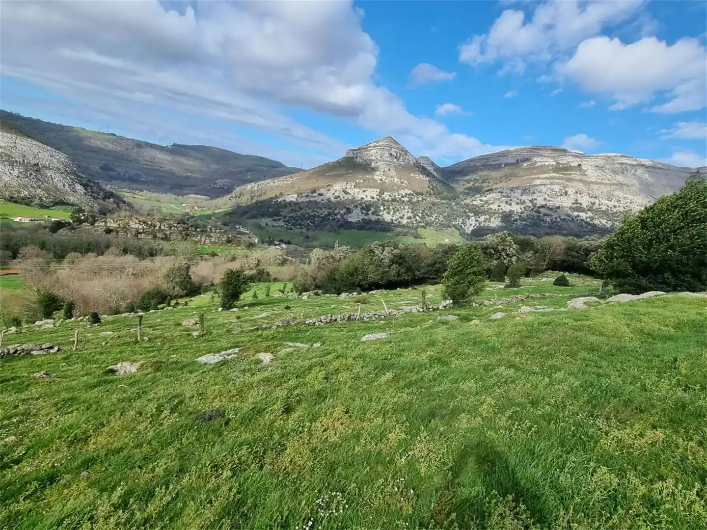 Finca rústica en venda en Ruesga