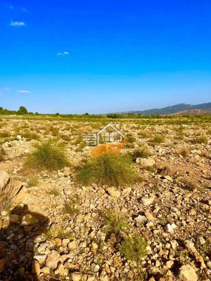 Terrenos y solares en venta en Vélez-Blanco, imagen 5