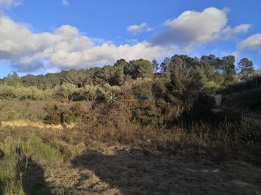 Rural land for sale in Benigànim