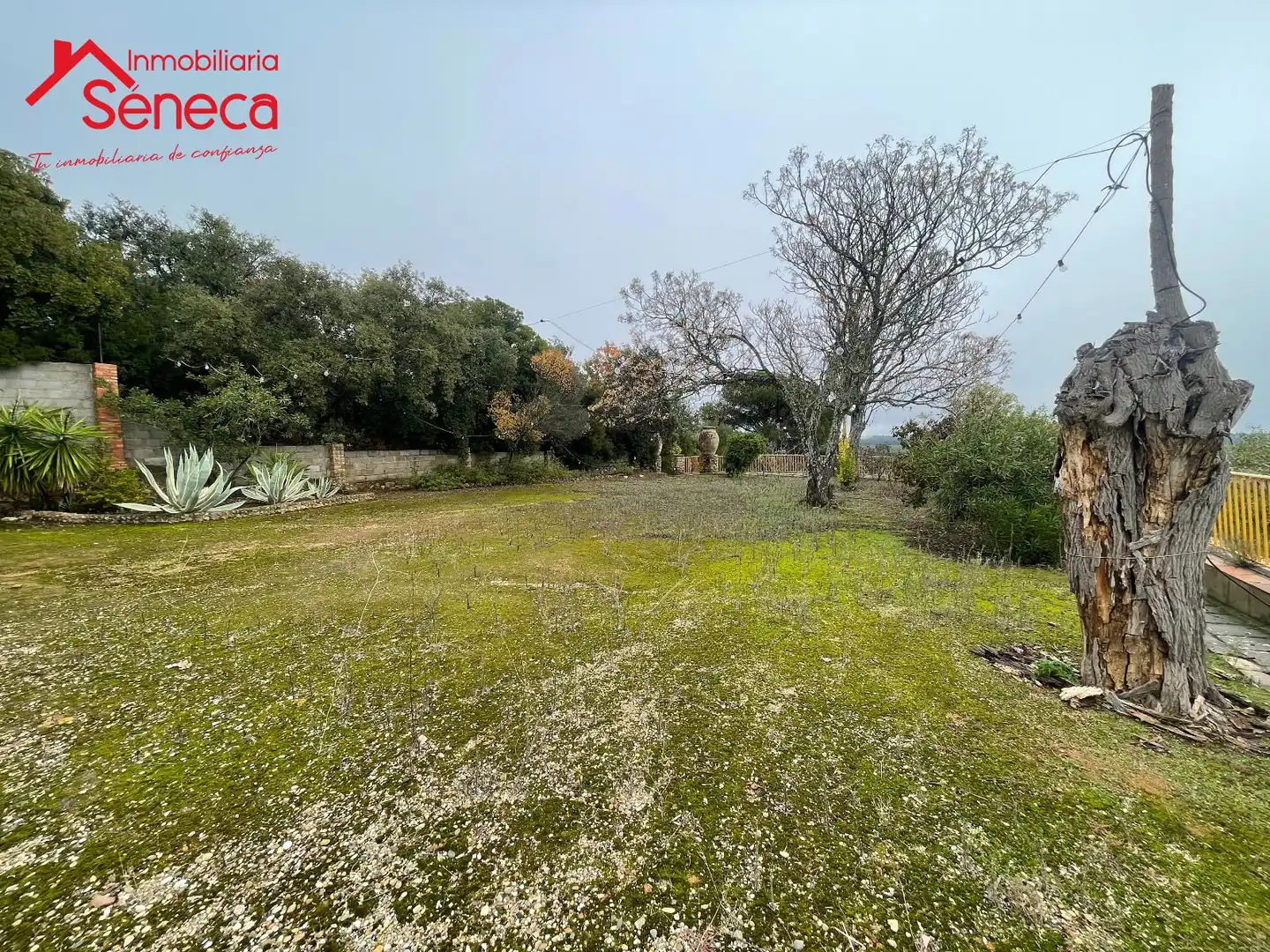 Casa amb piscina en venda a HORNACHUELOS SAN CALIXTO KM 6, imagen 7
