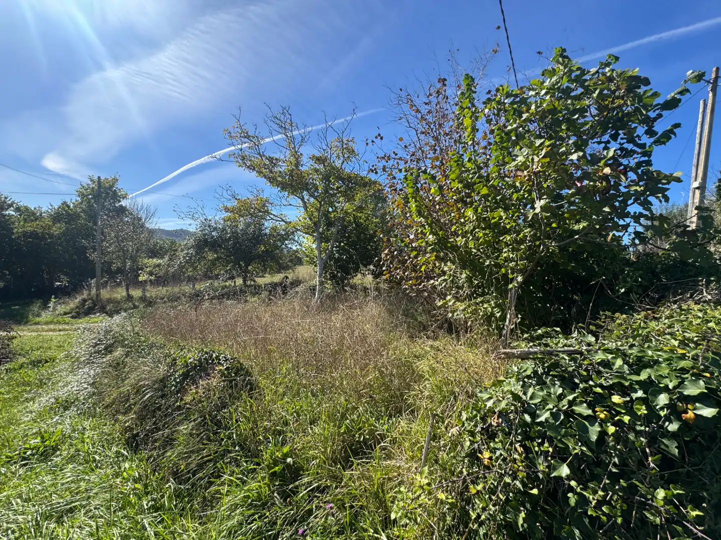 Finca rústica en venda en Nava, Asturias